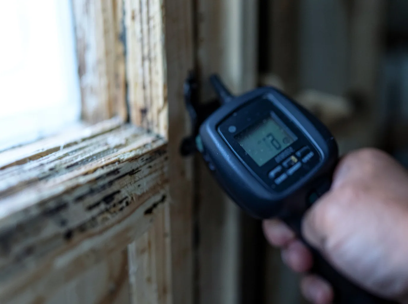 Commercial Water Damage Restoration in Forreston, IL